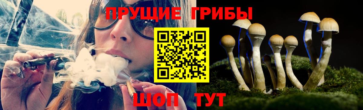 купить наркоту  Псилоцибиновые грибы MAGIC MUSHROOMS  Вход с VPN  Дзержинск 